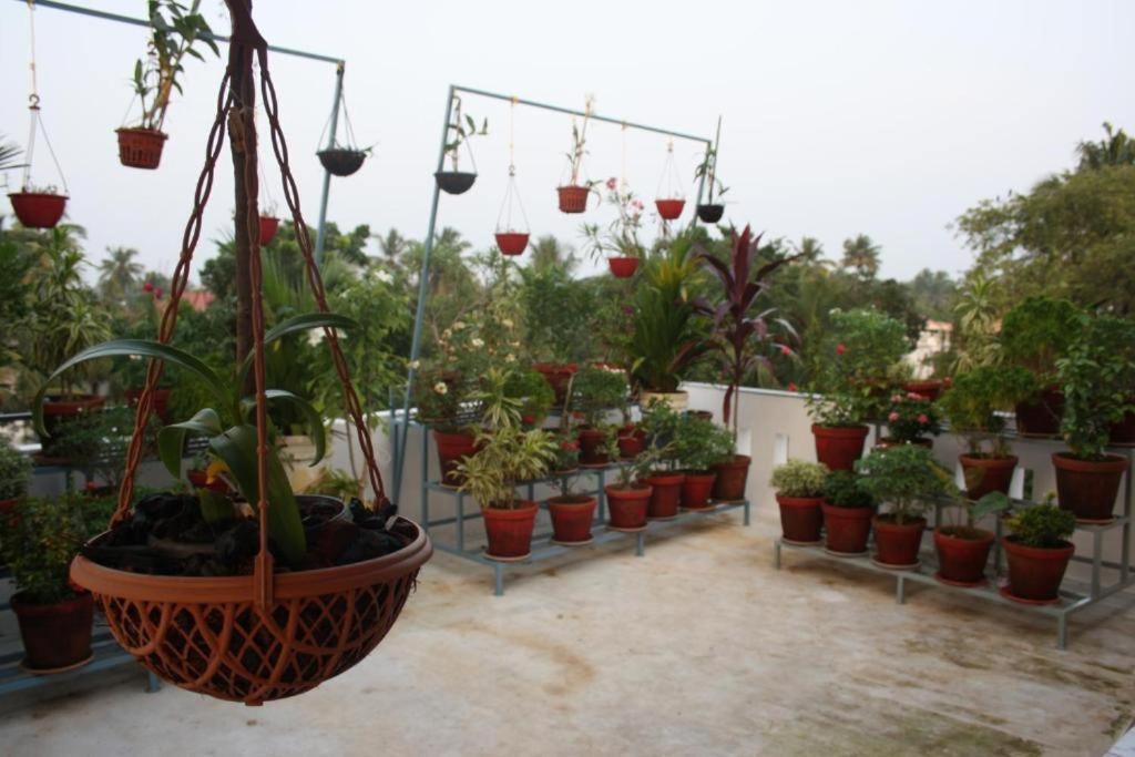Aaron'S Homestay Kochi Kültér fotó